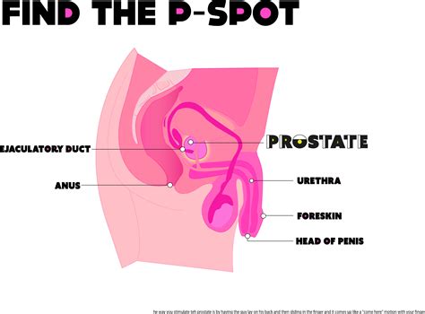 A Gay Man S Guide To Hitting Your Man S Prostate Every