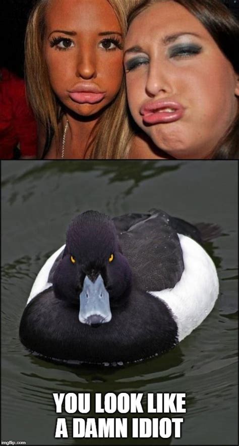 Duck Lips Duck Lips Duck Memes Duck Face