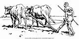 Field Plow Plowing Coloring Oxen Bible Farmer Drawing Ploughman Wooden Harvest Description sketch template