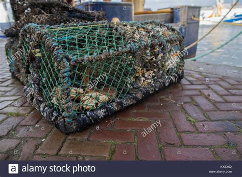 crab fishing cage filled  left  crab   docks