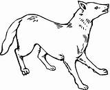 Coyote Coloring Pages Printable Kids Print Bestcoloringpagesforkids sketch template