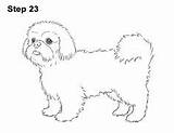 Coloring Pages Shih Tzu Printable Puppy Dog sketch template
