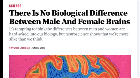 Atlantic There Is No Biological Difference Between Male
