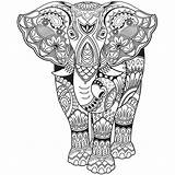 Elephant Coloring Pages Zentangle Mandala Adults Adult Colouring Printables Animal Elephants Behance Printable Book Color Mandalas Colour Drawings Au Stress sketch template