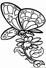Butterfly Coloring Flower Flowers Pages Butterflies Printable Color Drawing Nectar Drawings Clipart Cardboard Online Print Designs Kids Cutout Coolage Hard sketch template