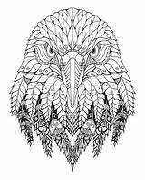 Zentangle Freehand Stylized Zen Aguila Ornate Mandalas рисунок águila sketch template