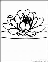 Lotus Coloring Flower Blossom Pages Kids Printable Flowers Color Fun sketch template