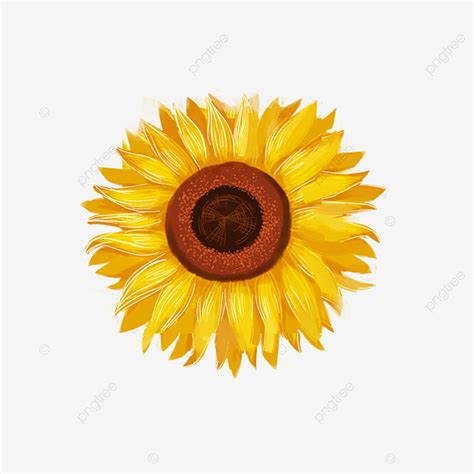yellow sunflower png image yellow sunflower cutout sunflower clipart