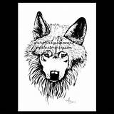 Wolf Coloring Nv Alpha Poster Create sketch template