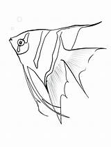 Fish Coloring Angel Angelfish Pages Sketch Realistic Fishing Drawing Printable Lure Color Drawings Getdrawings Getcolorings Print Coloringbay Designlooter Colorings Recommended sketch template