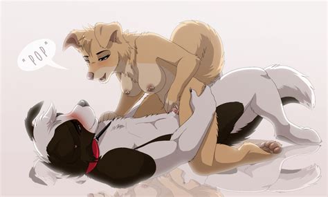 rule 34 2021 angel lady and the tramp anthro benny opifexcontritio