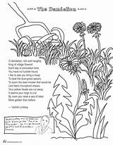 Coloring Dandelion Poem Poems Pages Vachel Lindsay Flower Color Print Getdrawings Printable Getcolorings sketch template