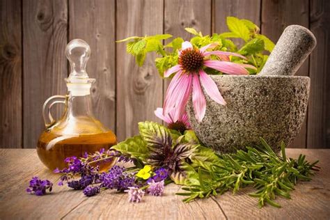 Using Adaptogenic Herbs To Reduce Stress Boost Energy Be Brain Fit