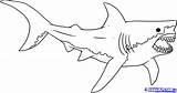 Shark Megalodon Coloring Pages Great Drawing Outline Bull Realistic Print Color Line Printable Sharks Clipart Kids Paintingvalley Drawings Getcolorings Getdrawings sketch template