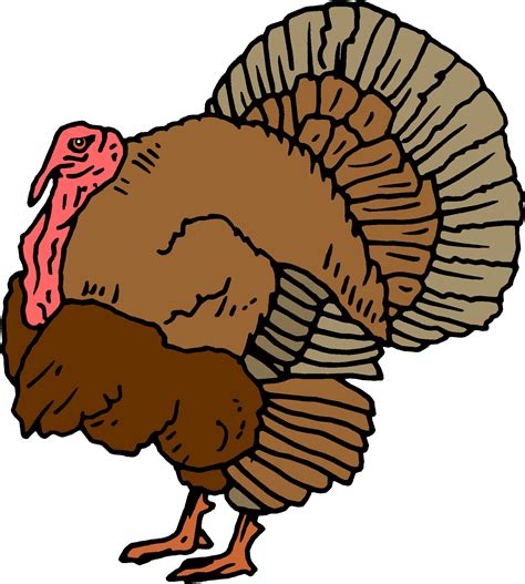 Animated Turkey Clip Art Clipart Best