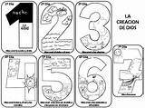 Creacion Dias Numeros Dios Colores sketch template