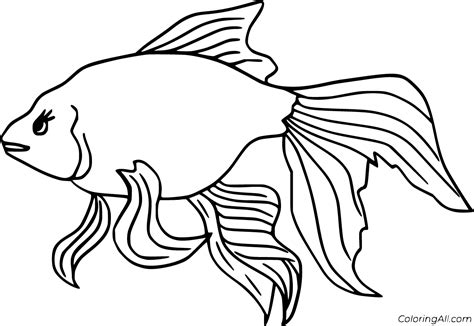 betta coloring pages coloringall