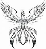 Phoenix Coloring Pages Tattoo Drawing Bird Line Behance Simple Drawings Mosaic Silhouette Printable Adults Tattoos Pheonix Men Color Draw Tribal sketch template