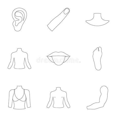 part  body set icons  outline style big collection  part  body