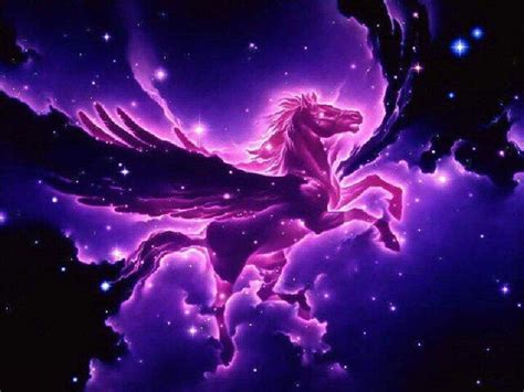 purple pegasus fantasy background pegasus constellation unicorn fantasy