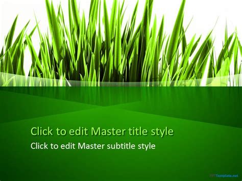 green grass  template