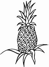 Abacaxi Colorir Ananas Desenhos Nanas Mewarnai Colorat Frutas Um Molde Clopotel Qdb Planse Adauga sketch template