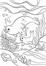 Seal Coloring Pages Mother Stock Illustration Baby Cute Little Her Depositphotos Mayka Ya sketch template