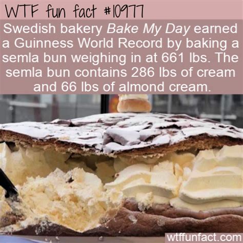 Pin On Daily Wtf Facts