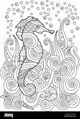 Sea Under Seahorse Sketch Zentangle Drawn Inspired Hand Alamy Shopping Cart sketch template