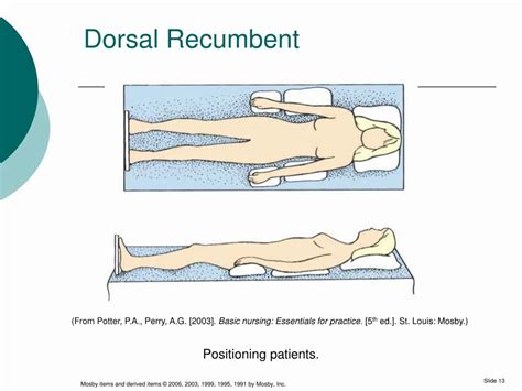 dorsal recumbent position