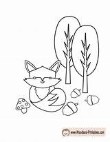 Woodland Coloring Pages Fox Animals Cute Animal Printable Printables Colouring Creatures Creature Kids Print Getcolorings Baby Popular Coloringhome Choose Board sketch template