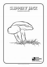 Coloring Slippery Jack Pages Cool Mushrooms Print sketch template