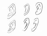 Ears Gvaat Voltron Studies sketch template