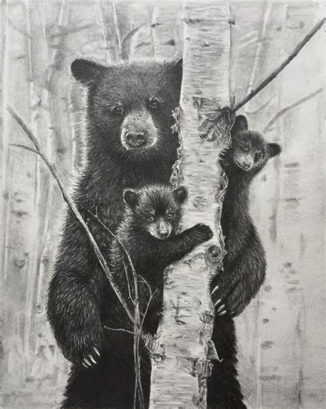 original pencil drawing  bears grizzly bear home decor etsy