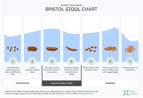 bristol stool chart