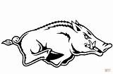Razorback Arkansas Coloring Razorbacks Boar Drawing Printable Svg Wild Pages Outline Logo  Head Ar Clip Clipart Digital Stencil Cliparts sketch template