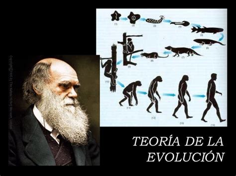Teorías De La Evolución Científicos Timeline Timetoast Timelines