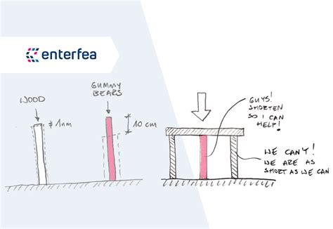 structural rigidity explained enterfea