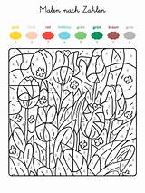 Zahlen Ostern Familie Schule Frühling Farben Blumen Gemerkt Grundschule sketch template