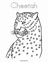 Cheetah Coloring Built California Usa sketch template