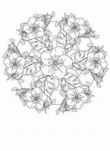 Vines Mandala sketch template