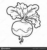 Legumes Legume Navet Légumes Vectorielle Premier Turnip Coloring sketch template