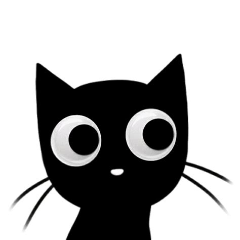 meow cat catlover blackcat blackcats gato gatopreto