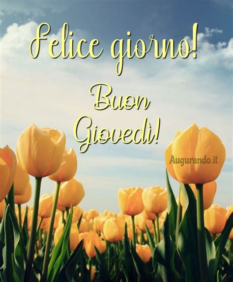 buon giovedi  fantastiche immagini entra nel  felice giovedi giovedi buongiorno