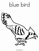 Bluebird Birds Designlooter Coloringhome Colouring Printable sketch template