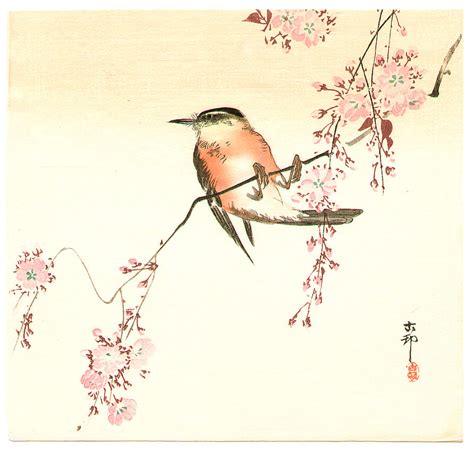 ohara koson orange bird  cherry blossom artelino ukiyo  search