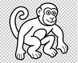 Drawing Monkey Coloring Clipart Child Book Animals Imgbin sketch template