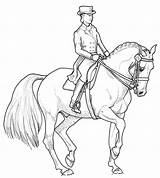 Pferde Coloring Dressur Dressage Malvorlagen Pferd Ausdrucken Jumping Caballo Skizze Reiter Reiterin Horses Steigendes Jinete Sketch Hunde Sso Cavalli Disegni sketch template