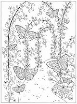Colouring Coloring Garden Adults Magical Pages Preston Lizzie Adult Book Secret Malvorlagen Printable Books Flowers Butterfly Color Ausmalbilder Kids Sheets sketch template