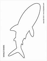 Shark Sharks Firstpalette sketch template